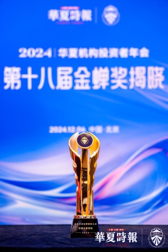 中国大地保险- 2024年度声誉品牌保险公司