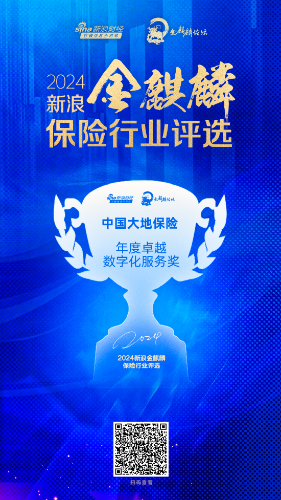 中国大地保险-年度数字化服务保险公司