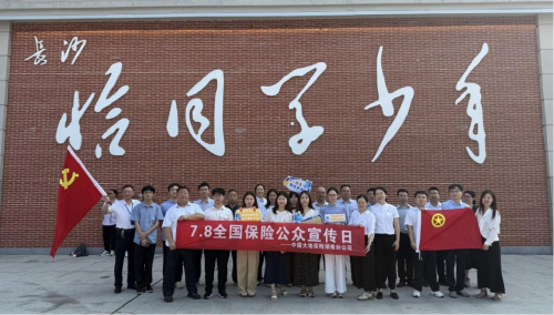 图片12